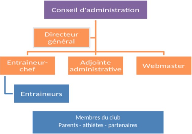 Organigramme de la structure organisationnelle
